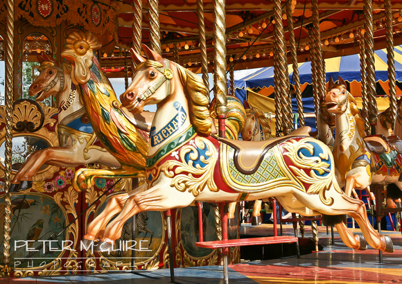 Rule's Steam Gallopers